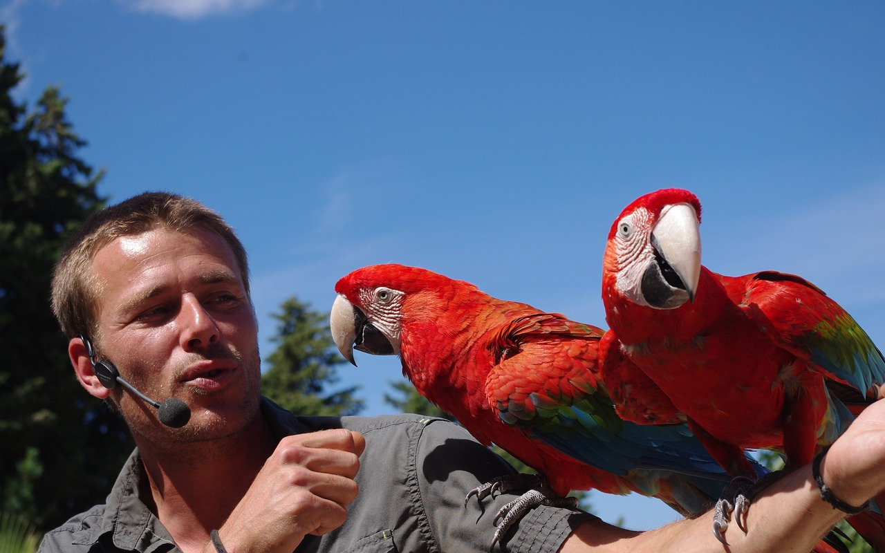 Parque del Loro